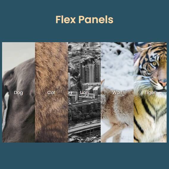 Flex Gallery Preview